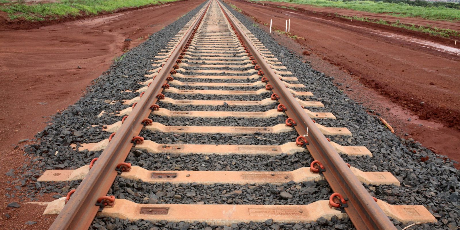 governo-quer-leiloar-ferrovia-ef-118-ainda-neste-ano,-diz-ministro