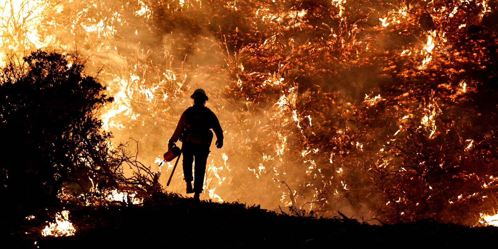ibama-identifica-242-pessoas-responsaveis-por-incendios-em-2024