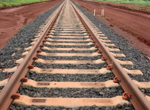 governo-quer-leiloar-ferrovia-ef-118-ainda-neste-ano,-diz-ministro