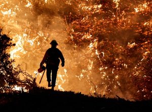 ibama-identifica-242-pessoas-responsaveis-por-incendios-em-2024